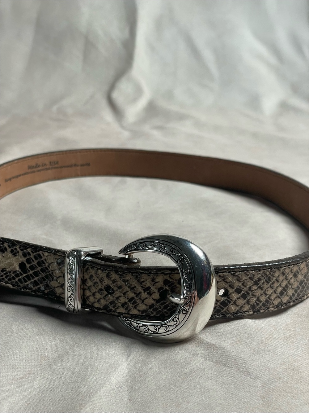 Brighton Brown Snake-Print Leather Belt with Silver Decorative Buckle
